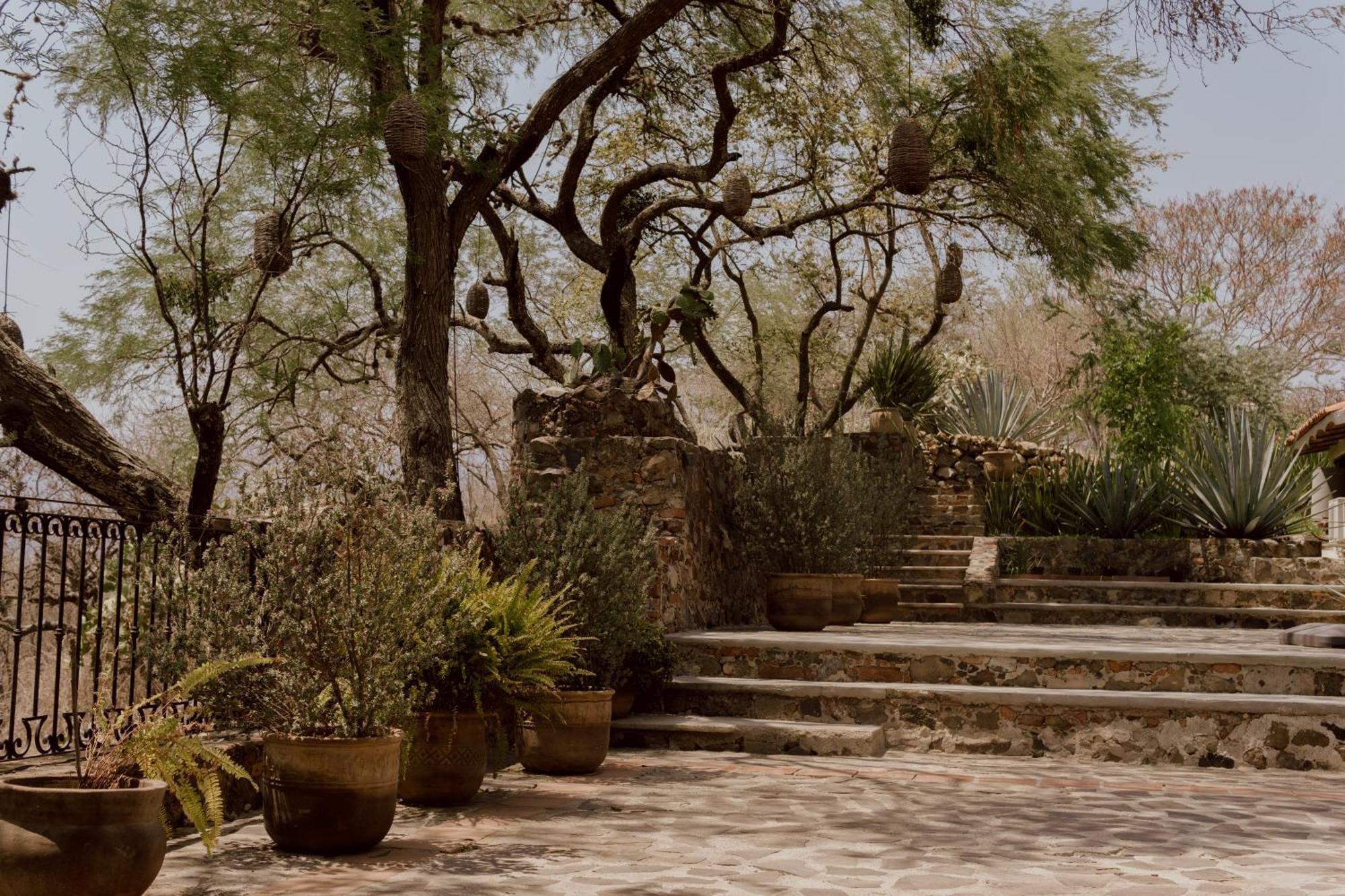 Hacienda San Nicolas De Las Fuentes Teuchitlán Εξωτερικό φωτογραφία