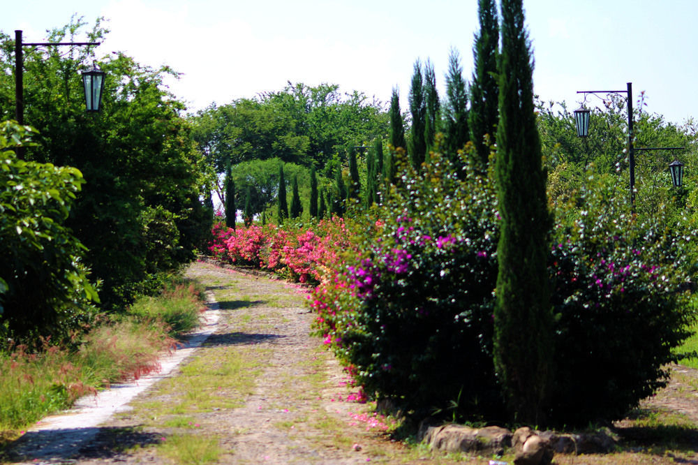 Hacienda San Nicolas De Las Fuentes Teuchitlán Εξωτερικό φωτογραφία