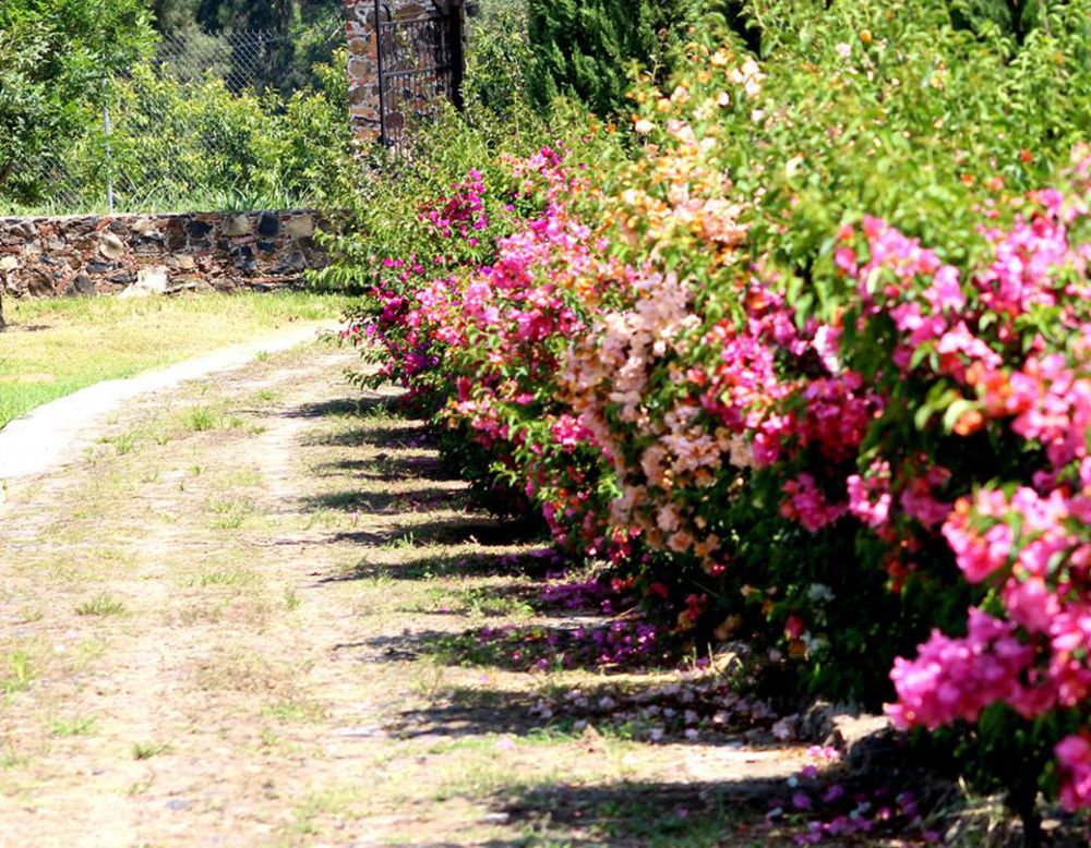 Hacienda San Nicolas De Las Fuentes Teuchitlán Εξωτερικό φωτογραφία